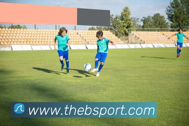 B体育平台生态图